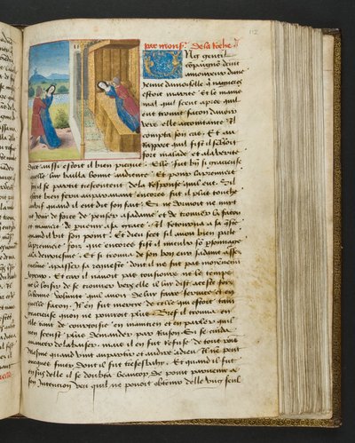 MS Hunter 252 112r Strona ze stu nowych wiadomości, c.1461-62 autorstwa French School