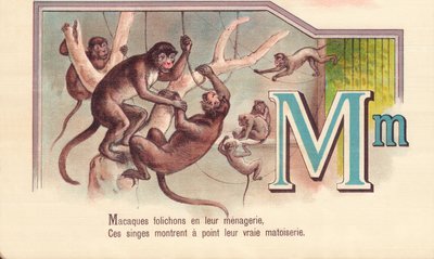 M: Ulotki makaków w swojej menażerii Te małpy pokazują swoją prawdziwą matoiserie autorstwa French School