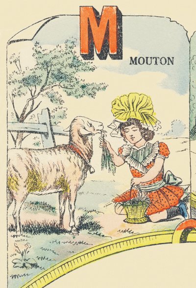 M: owce autorstwa French School