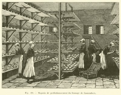 Ulepszacz serów Camembert (grawerowanie) autorstwa French School