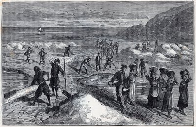 Marais salants de Bretagne w XIX wieku - Grawer w „Naukach wdzięcznych stypendystom - fizyka i chemia” autorstwa Alexisa Clerca - Koniec XIX wieku - Kolekcja prywatna autorstwa French School