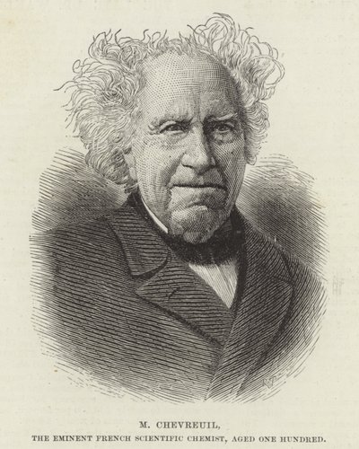 Michel Eugene Chevreul autorstwa French School
