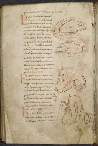 Różne prace z dziedziny informatyki i astronomii, Royal MS 13 A XI autorstwa French School