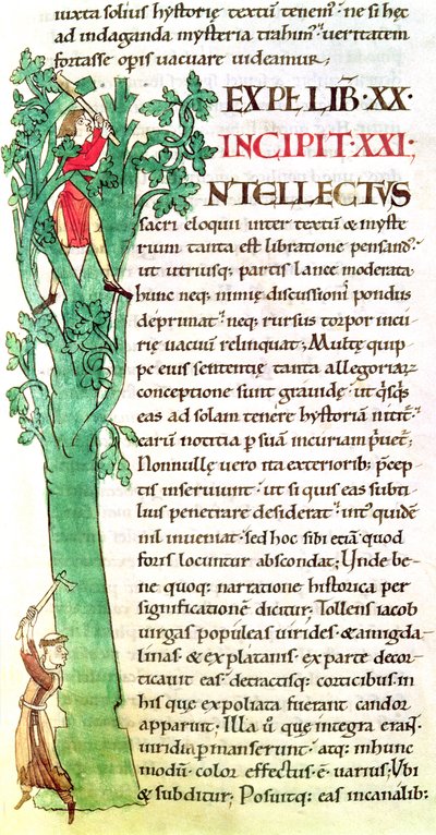Ms 173 f.41 Historyczny inicjał I przedstawiający mnicha oraz świeckiego rąbiącego i przycinającego drzewo, z Moralia w Hiobie papieża Grzegorza Wielkiego autorstwa French School