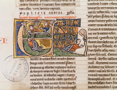 Ms 21 Fol.163v Historyczny inicjał E przedstawiający Jonasza wrzuconego do morza, z nieokreślonej Biblii autorstwa French School