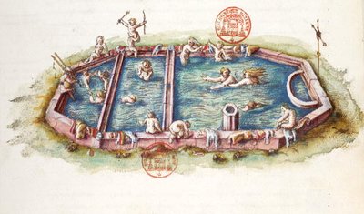 Ms 3243 Łaźnie Nerys w Neris-les-Bains, ilustracja z „Generale Description du Bourbonnais” Nicolasa de Nicolay autorstwa French School