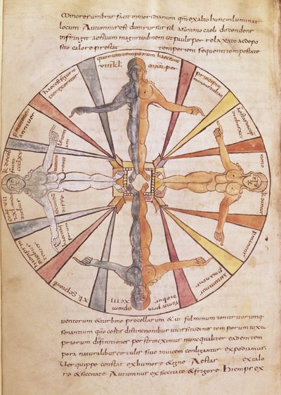 Ms 422 fol.6v Koło pór roku i miesięcy, z De Natura Rerum św. Izydora z Sewilli autorstwa French School