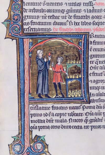 Ms 426 fol.135 Nauczanie najlepszego sposobu konserwowania gruszek, z Le Miroir de la Nature Vincenta de Beauvais autorstwa French School