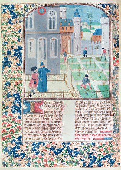 Ms 5064 f.151v Ogród, ilustracja z Le Livre des Prouffitz Champestres autorstwa Pietro de Crescenzi (1230-132021) autorstwa French School