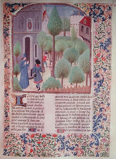 Ms 5064 fol.105r Sadzenie drzew, z Livre des Prouffitz Champestres autorstwa Pietro de Crescenzi (1230-132021) autorstwa French School