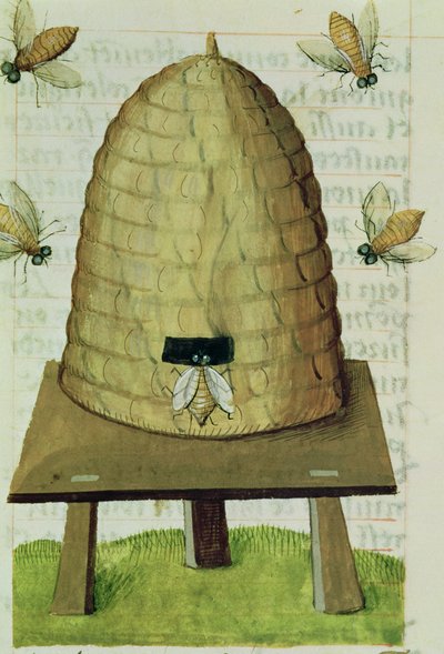 Ms 59 fol.111r Ul i pszczoły, z Grand Herbier autorstwa French School