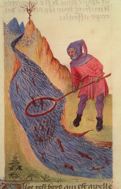 Ms 59 fol.3r Rybak, z Grand Herbier autorstwa French School