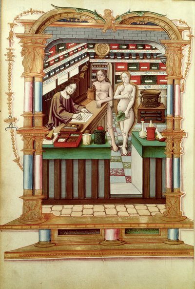 Pani Fr 1537 Chrystus Aptekarz z Adamem i Ewą, z Chants royaux sur la Conception Couronnee du Puy de Rouen autorstwa French School