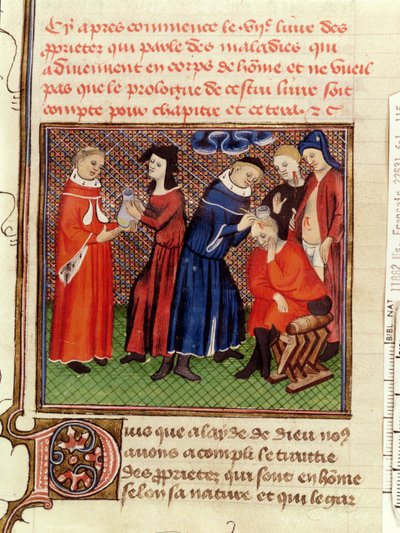 Ms Fr 22531 Fol.115 Badanie moczu i gojenie ran, z Le Livre des Proprietes des Choses Barthelemy