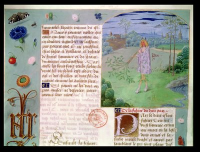 Pani Fr 9197 fol.187 Pan, z Livre des Echecs Damour autorstwa French School
