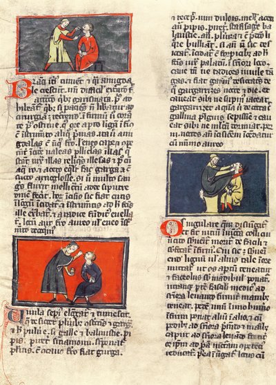 Pani H 89 fol.16v Chirurgia Stomatologiczna, z wydania „Księgi Chirurgii” Rogiera de Salerne autorstwa French School