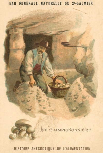 Hodowca grzybów (chromolitho) autorstwa French School