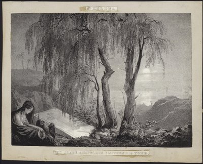 Napoleon Bonaparte odwiedzający swój grób na St Helena autorstwa French School