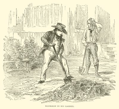 Napoleon w swoim ogrodzie (rycina) autorstwa French School