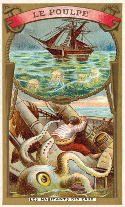 Ośmiornica (chromolitho) autorstwa French School