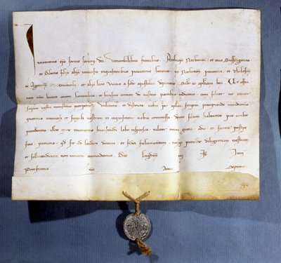 Bulla papieska papieża Innocentego IV (zm. 1254) przeciwko albigensom autorstwa French School