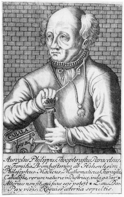 Paracels (1493-1541) autorstwa French School