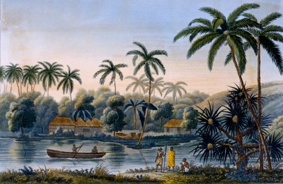 Część wioski Matavae, palmy kokosowe i inne owoce, Tahiti, z Voyage around the World on the Corvette Coquille autorstwa porucznika Louisa Isodore Duperrey, opublikowanej w 1826 r. autorstwa French School