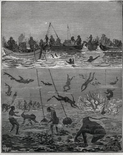 Perłowe brzoskwinie na Cejlonie (dzisiejsza Sri Lanka) w XIX wieku. Grawer z 1885 roku w „Les arts et metiers illustres” Adolphe BITARD. autorstwa French School