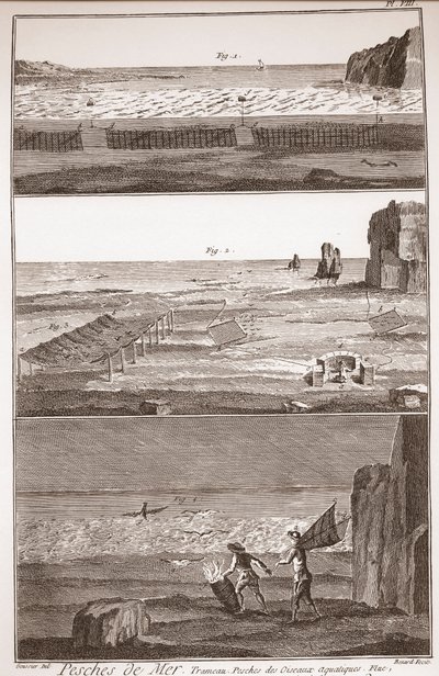 Peche de Mer - Trameau - Waterbird Fishing - „” The Great Encyclopedia lub Dictionnaire Raisonne des Sciences, des Arts et des Metiers” (Encyklopedia lub słownik nauk, sztuki i zawodów) autorstwa Denisa Diderota (1713-1784) i Jeana d „Alembert (171 autorstwa French School