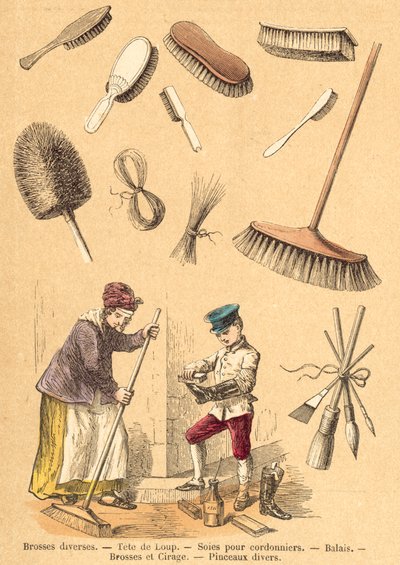 Świnia (kolorowy grawerunek) autorstwa French School