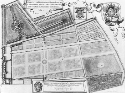 Plan Królewskiego Ogrodu Roślin Leczniczych w Paryżu, 1641 autorstwa French School