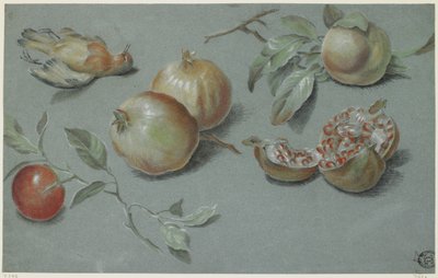 Granaty i Martwy Ptak, pocz. XIX w. (kreda na papierze) autorstwa French School