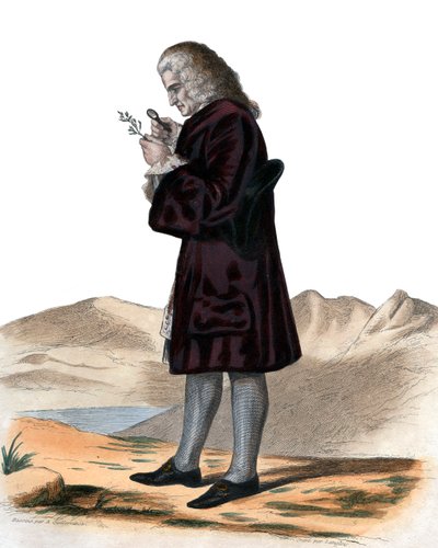 Portret Bernarda de Jussieu (1699-1777), francuskiego przyrodnika. autorstwa French School