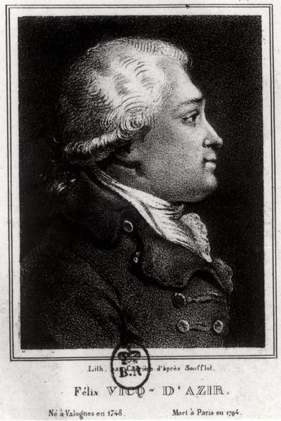 Portret Felixa Vicq dAzyra (1748-94) autorstwa French School