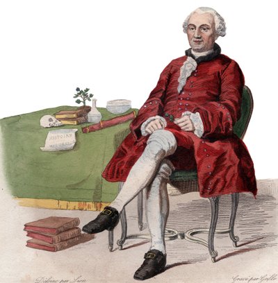 Portret Georgesa Louisa Leclerca, hrabiego de Buffon (1707-1788), francuskiego przyrodnika. autorstwa French School