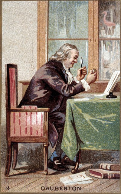 Portret Louis Jean Marie Daubenton (1716 - 1800), francuski przyrodnik. autorstwa French School