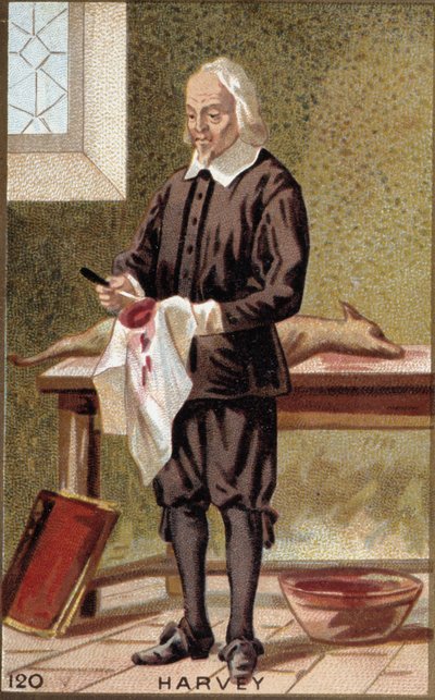 Portret Williama Harveya (1578-1657), angielskiego lekarza. autorstwa French School