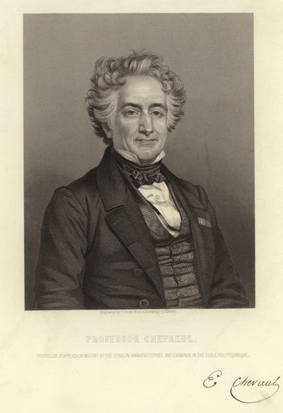 Profesor Chevreul autorstwa French School