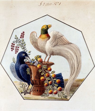Projekt stołu z ptakami w porcelanie autorstwa Alexandre Brongniart (1770-1847). 1810 Sevres, archiwum Manufaktury de Sevres autorstwa French School