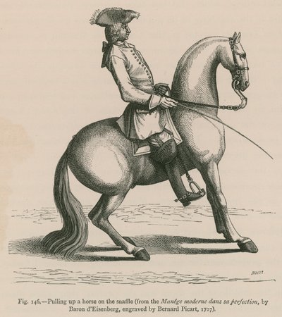 Wciąganie konia na wędzidło (z Manege moderne dans sa perfection, autorstwa barona dEisenberga, ryt. Bernard Picart, 1727) autorstwa French School
