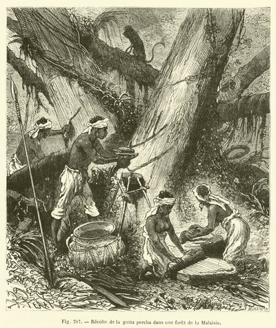 Zbieranie gutaperki w malezyjskim lesie (grawerowanie) autorstwa French School