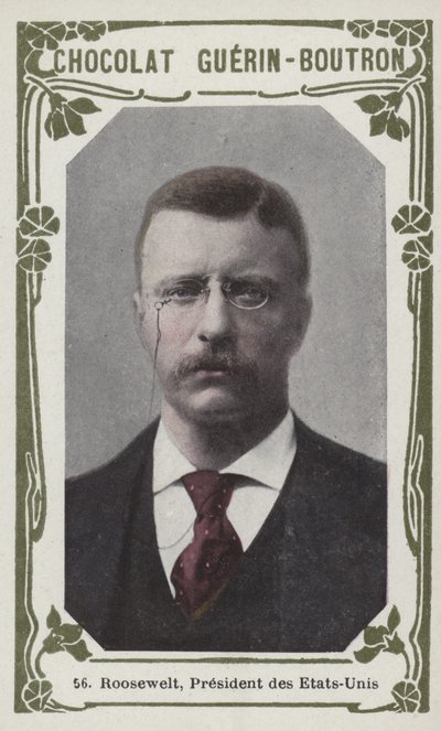 Roosevelt, prezydent Stanów Zjednoczonych (kolorowe zdjęcie) autorstwa French School