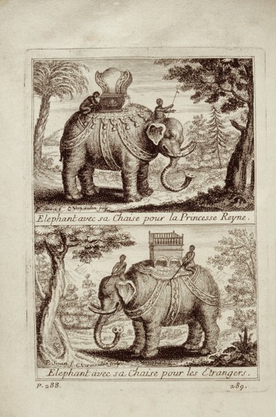 Słonie królewskie, z Voyage du Siam des Peres Jesuites autorstwa Guya Tacharda, 1688 autorstwa French School