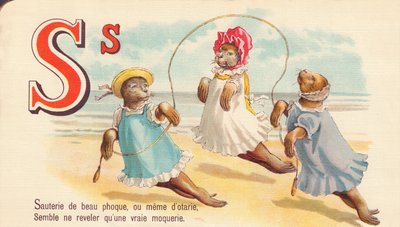 P. - Sauté z pięknej foki, a nawet z fok, wydaje się zdradzać tylko prawdziwą kpinę autorstwa French School