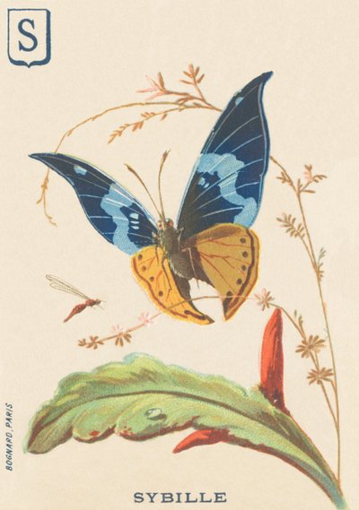 S: Sybil autorstwa French School