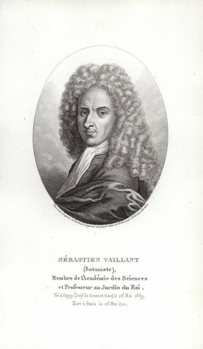 Sebastien Vaillant autorstwa French School