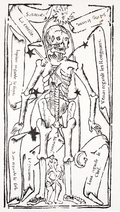 Szkielet ze znakami zodiaku autorstwa French School