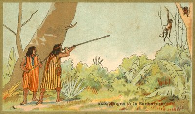 Indianie południowoamerykańscy polujący na małpy z dmuchawkami (chromolitho) autorstwa French School