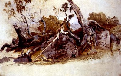 Studium Drzew, ok. 1825 (olej na pokładzie) autorstwa French School