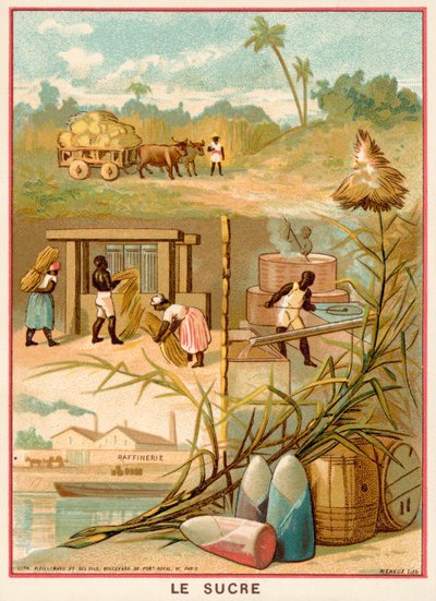 Cukier (chromolit) autorstwa French School